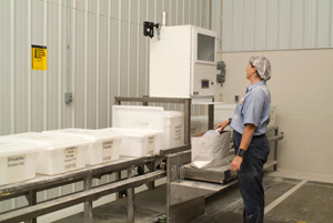 Tortilla-Production-Line